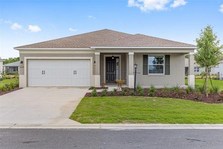 New construction Single-Family house 10371 Sw 105Th Ter, Ocala, FL 34481 - image