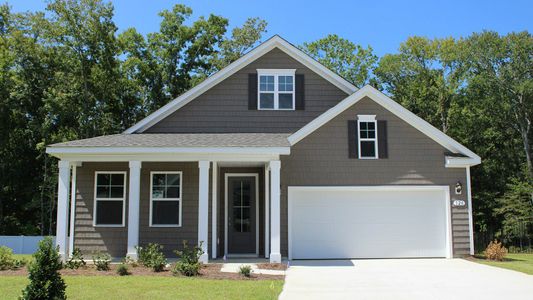 New construction Single-Family house 1505 Wood Stork Dr, Conway, SC 29526 plan DARBY - image