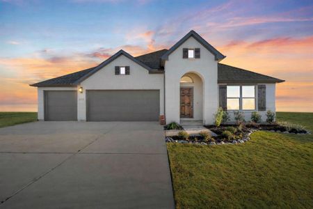 New construction Single-Family house 1036 Monaco, Springtown, TX 76082 - image