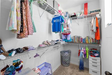 New construction Single-Family house 11124 Moonsail Dr, Parrish, FL 34219 - image 12