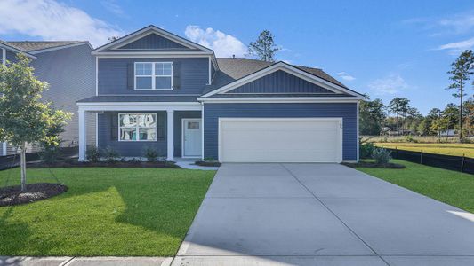 New construction Single-Family house 186 Bee Tree Blvd, Summerville, SC 29486 plan Salem - image
