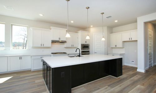 New construction Single-Family house 1232 Terrace View Dr, Georgetown, TX 78628 null- photo 8 8