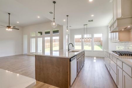 New construction Single-Family house 7324 Wayward Wind Dr, Fort Worth, TX 76179 - image 10