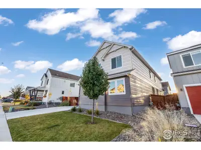 New construction Single-Family house 2020 Blue Moon Dr, Windsor, CO 80550 - image