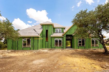 New construction Single-Family house 429 Eider Cv, Spring Branch, TX 78070 - image 9