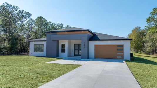 New construction Single-Family house 5544 Sw 136Th Ave, Ocala, FL 34481 - image
