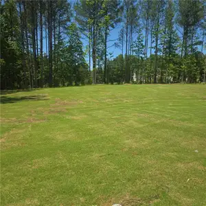 New construction Single-Family house 884 Bessie Ct, Loganville, GA 30052 - image 11