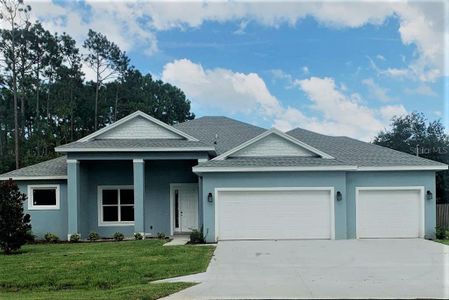 New construction Single-Family house 72 Flemingwood Lane, Palm Coast, FL 32137 - photo 0