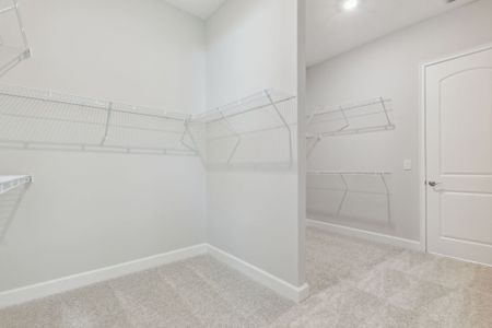 New construction Single-Family house 14224 Lons Pl, Jacksonville, FL 32226 plan Albatera II - image 20