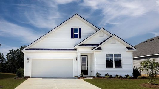 New construction Single-Family house 313 Hadley Springs Ave, Longs, SC 29568 plan Darby - image