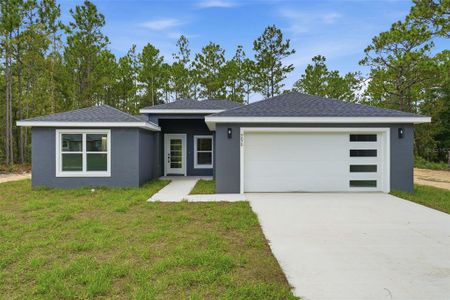 New construction Single-Family house 9870 Sw 121St Ter, Dunnellon, FL 34432 - image