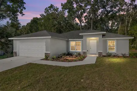 New construction Single-Family house 21010 Sw 102Nd Street Rd, Dunnellon, FL 34431 - image
