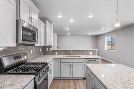 New construction Single-Family house 736 N Carrie Ct, Watkins, CO 80137 - image 7