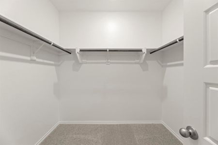 New construction Single-Family house 3312 Sedge Grass Dr, Melissa, TX 75454 plan Willow - image 17