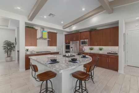 New construction Single-Family house 21011 E Diana Wy, Queen Creek, AZ 85142 plan Amarante - image 10