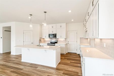 New construction Single-Family house 1992 Griffin Dr, Brighton, CO 80601 null- photo 13 13