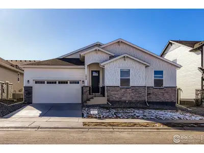 New construction Single-Family house 1829 Flourish Dr, Windsor, CO 80550 plan Plan C502 - image