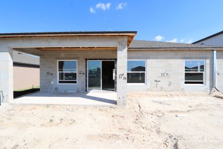 New construction Single-Family house 12227 Hilltop Farms Dr, Dade City, FL 33525 Sentinel- photo 31 31