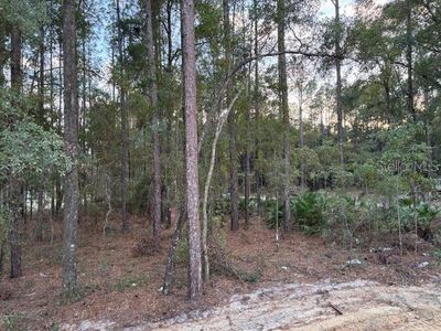 New construction Single-Family house 13056 SW 64th Ln, Ocala, FL 34481 - image