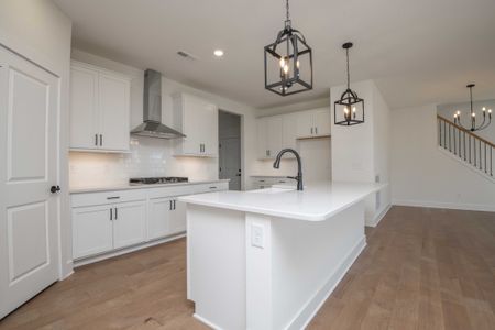 New construction Single-Family house 405 Ivey Farms Rd, Farragut, TN 37934 plan The Elm - image 13