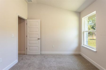 New construction Single-Family house 54 Pony Express Dr, Palm Coast, FL 32164 plan 1820 - image 15