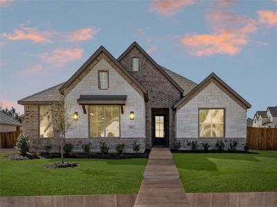 New construction Single-Family house 925 Winecup Way, Midlothian, TX 76065 Concept 2796- photo 27 27