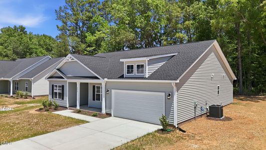 New construction Single-Family house 175 Nectar Ln, Bunnlevel, NC 28323 - image
