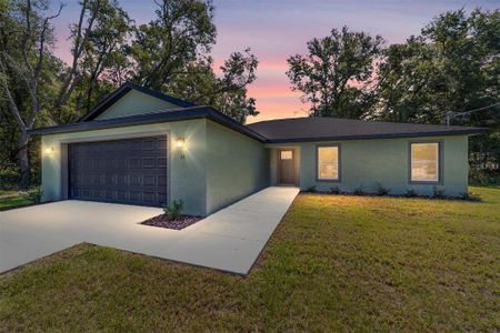 New construction Single-Family house 23 Guava Terrace Trak, Ocklawaha, FL 32179 - image