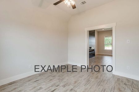 New construction Single-Family house 1022 Colt Rd, Springtown, TX 76082 plan The Iris - image 20