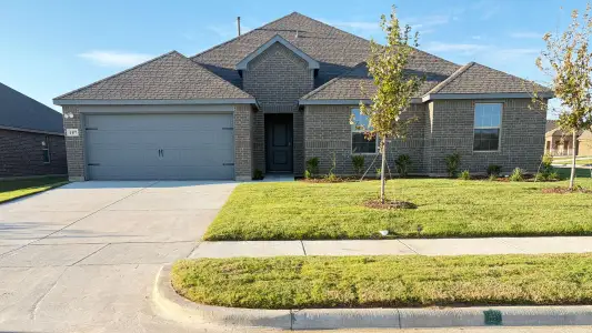 New construction Single-Family house 187 Outfoxed Ln, Waxahachie, TX 75165 plan Eureka - image
