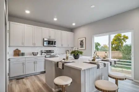 New construction Single-Family house 17569 E 103Rd Dr, Commerce City, CO 80022 plan Wonder - image 4