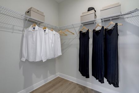 New construction Single-Family house 2011 Town Pasture Dr, Eustis, FL 32726 plan Hayden - image 15