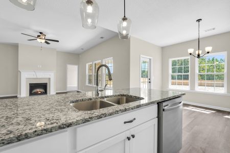 New construction Single-Family house Ludowici, GA 31316 plan The Jackson - image 9