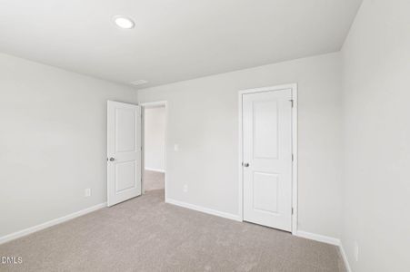 New construction Single-Family house 685 White Birch Ln, Angier, NC 27501 plan Chatham - image 12