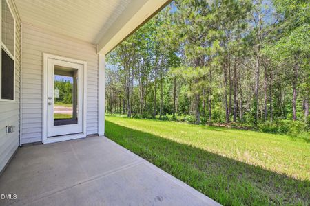 New construction Single-Family house 176 Starlet Rdg Wy, Clayton, NC 27520 - image 3