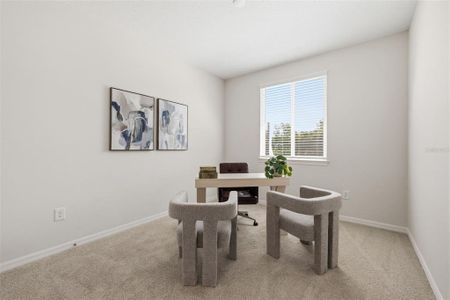 New construction Townhouse house 5839 Angela Leyla Pl, Riverview, FL 33578 plan The Covington - image 8