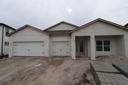 New construction Single-Family house 9589 Crescent Ray Dr, Wesley Chapel, FL 33545 Barcello- photo 72 72