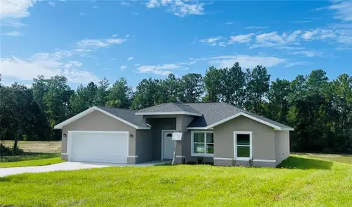 New construction Single-Family house 6268 Sw 133Rd Street Rd, Ocala, FL 34473 - image