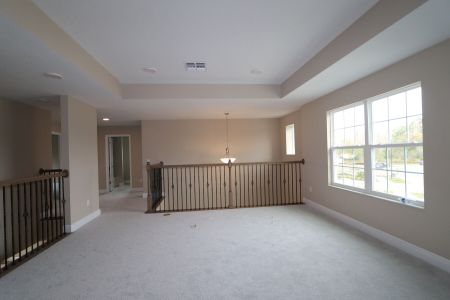 New construction Single-Family house 20125 Oriana Loop, Land O' Lakes, FL 34638 Santina II- photo 170 170