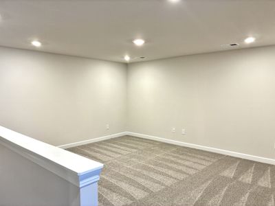 New construction Single-Family house 237 Taylor Woods Ct, Greenville, SC 29607 plan The Princeton A - image 17