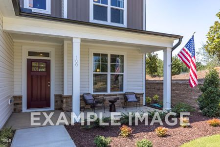 New construction Single-Family house 225 Wild Turkey Way, Lillington, NC 27546 null- photo 2 2