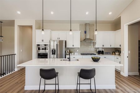 New construction Single-Family house 2011 Grayside Cir, Castle Rock, CO 80109 - image 14