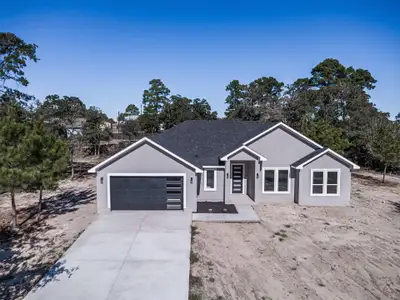 New construction Single-Family house 150 Tonkawa Dr, Paige, TX 78659 - image
