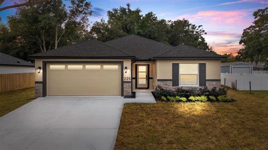 New construction Single-Family house 225 Hillside Ave, Umatilla, FL 32784 - image
