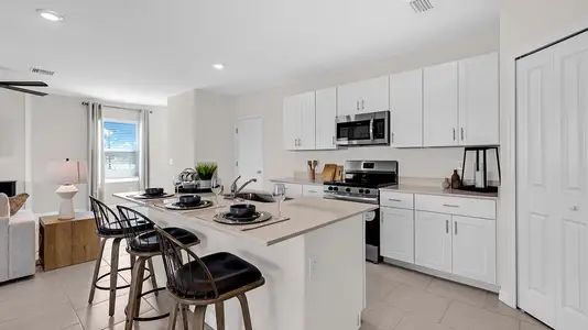 Sabal Glen at Midtown: Americana Series 17