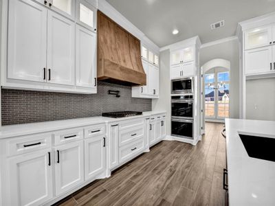 New construction Single-Family house 213 Desperado Ct, Weatherford, TX 76088 - image 12
