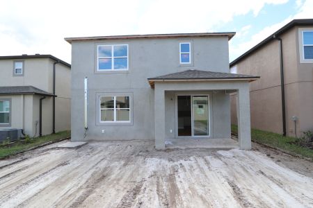 New construction Single-Family house 2601 Sunny Pebble Loop, Zephyrhills, FL 33540 Miralles- photo 48 48