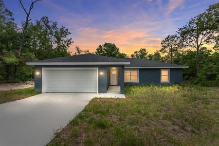 New construction Single-Family house 10374 Se 126Th Ln, Belleview, FL 34420 - image