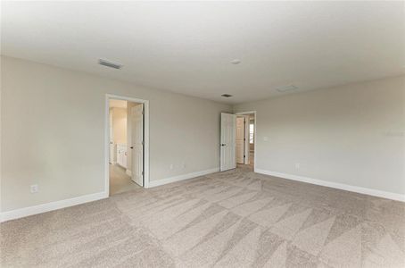 New construction Single-Family house 8509 Dove Bog Ter, Parrish, FL 34219 plan Kingfisher - image 19