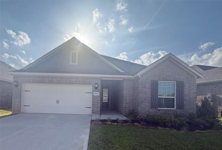 New construction Single-Family house 15683 Honey Cove Dr, Conroe, TX 77303 - image